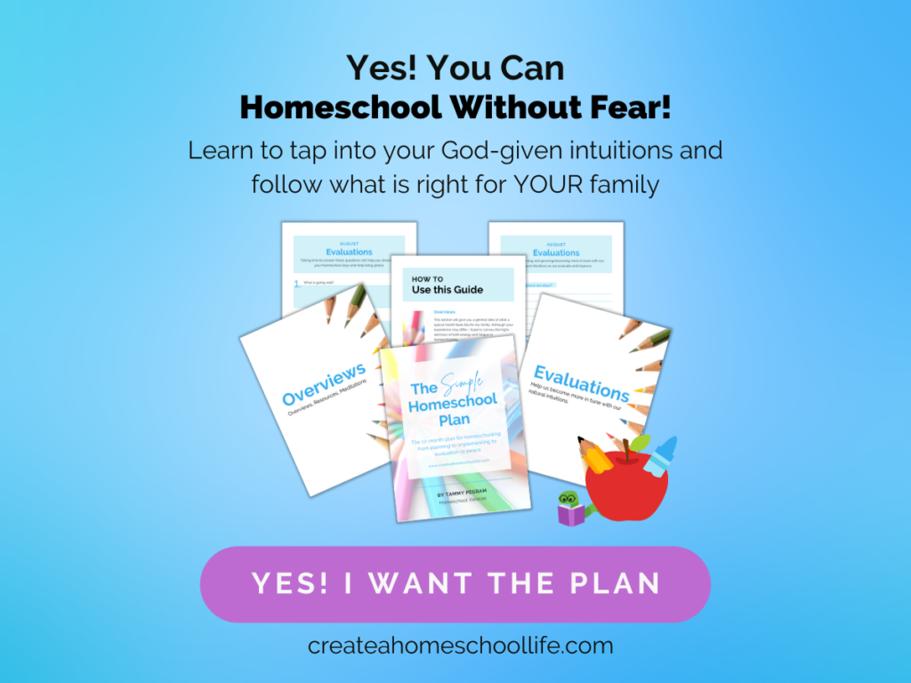 the simple homeschool plan layflat image