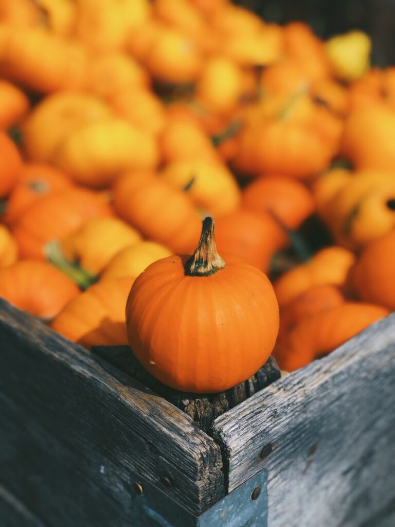 Pumpkin Facts Handwriting Practice Your Kids Will Love