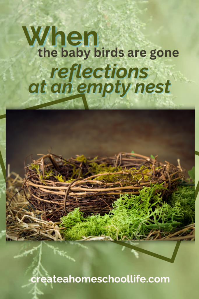 picture of an empty nest with overlay when the baby birds are gone reflections at an empty nest 